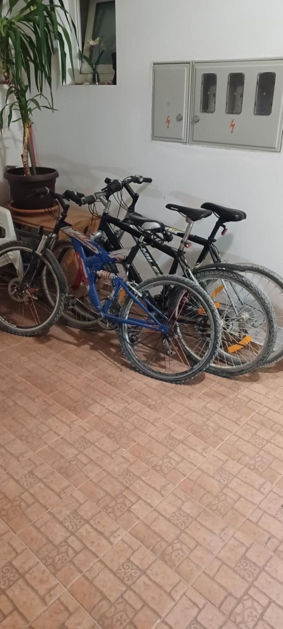 Kamenjak Free Bikes Lejlighed Premantura Eksteriør billede